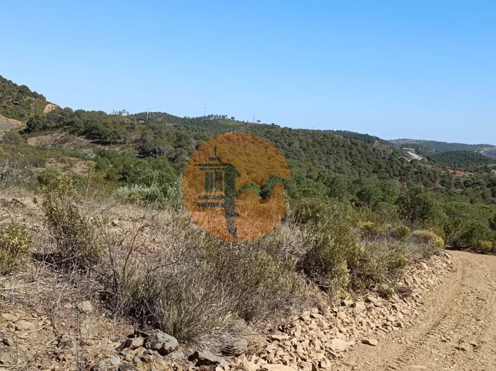 Image No.3-Plot for sale