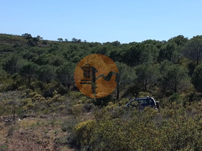 Image No.6-Plot for sale