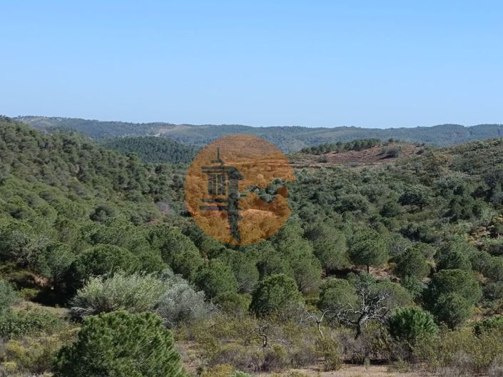 Image No.8-Plot for sale