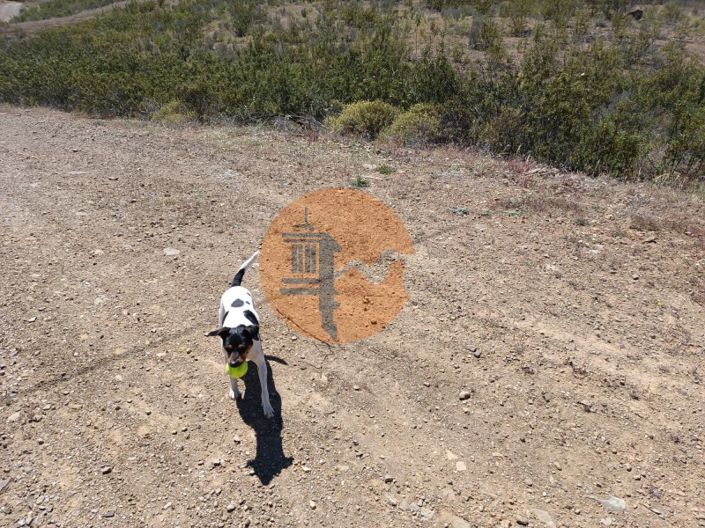 Image No.24-Plot for sale