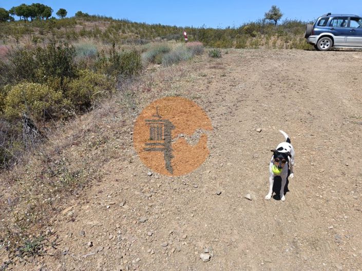 Image No.27-Plot for sale