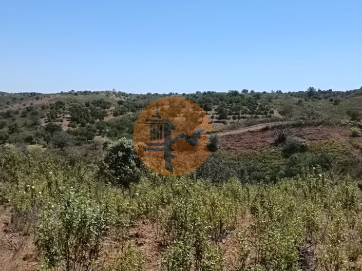 Image No.31-Plot for sale