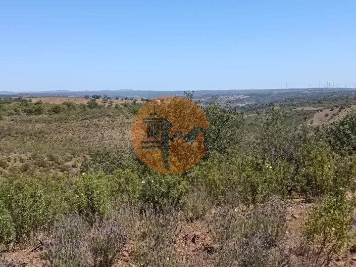 Image No.32-Plot for sale