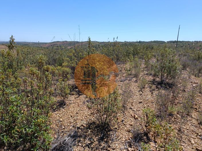 Image No.6-Plot for sale