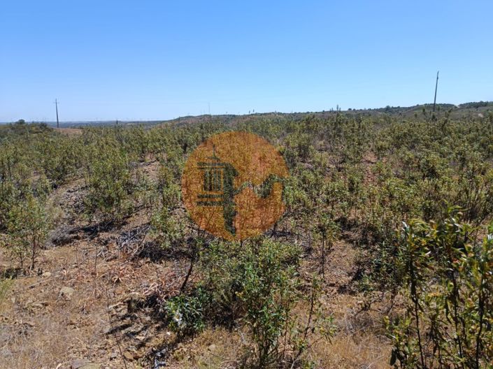 Image No.8-Plot for sale