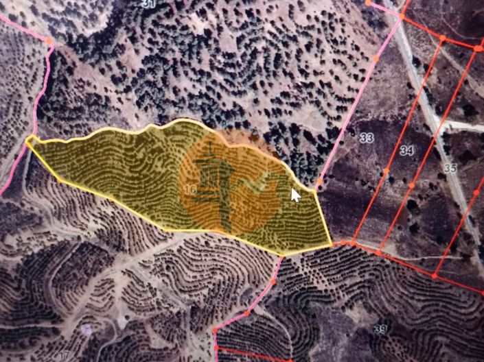 Image No.10-Plot for sale