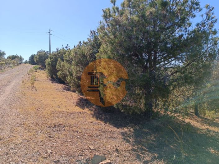 Image No.13-Plot for sale