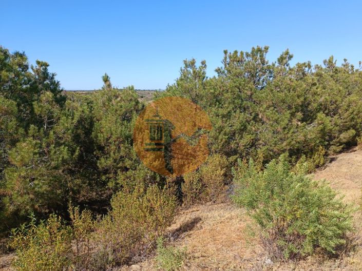 Image No.19-Plot for sale