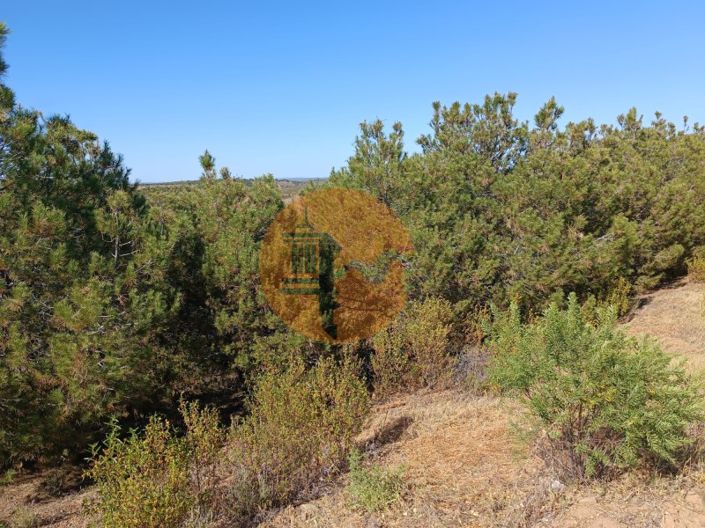 Image No.22-Plot for sale