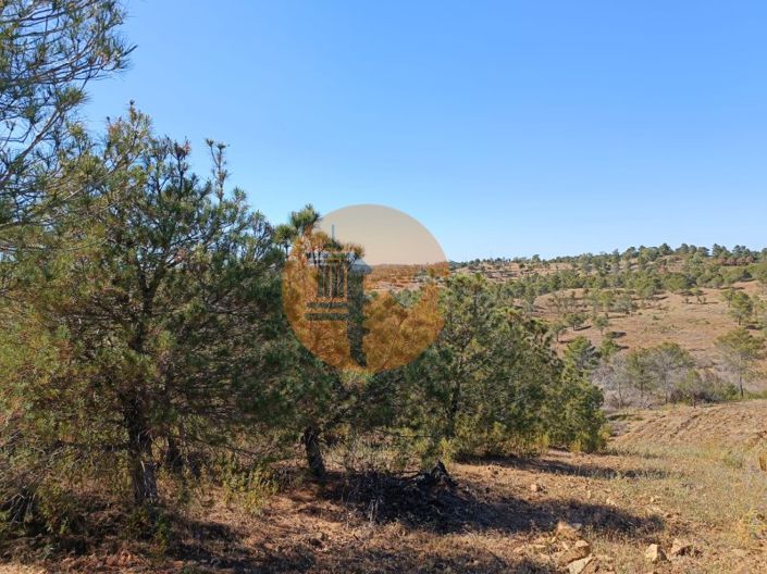 Image No.23-Plot for sale