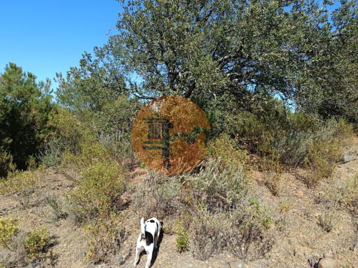 Image No.28-Plot for sale