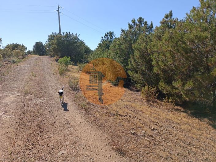 Image No.3-Plot for sale