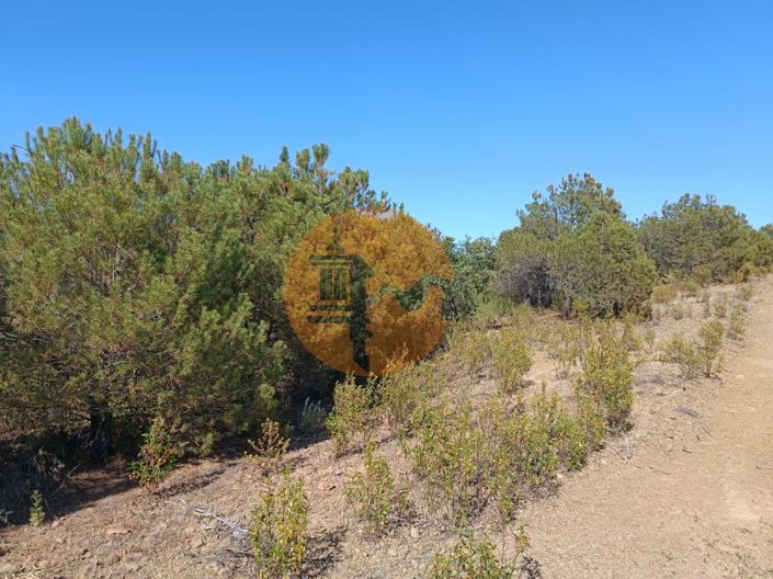 Image No.30-Plot for sale