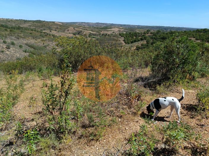 Image No.10-Plot for sale