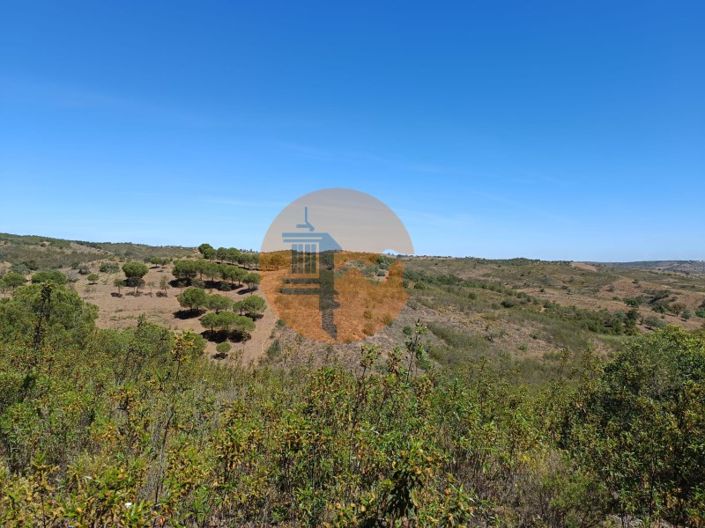 Image No.16-Plot for sale