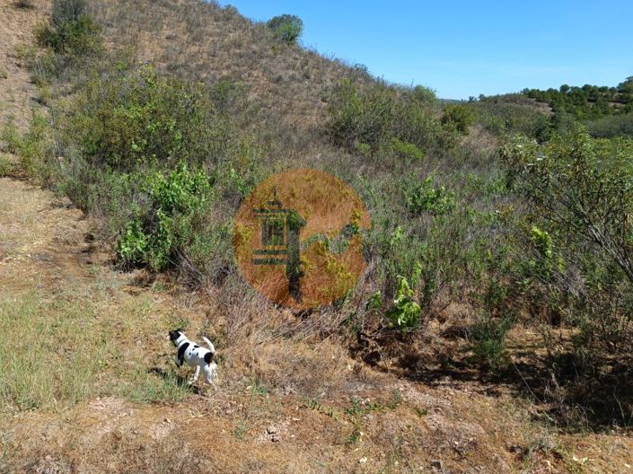 Image No.23-Plot for sale