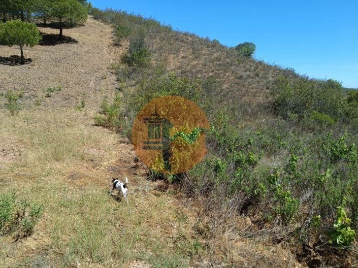 Image No.24-Plot for sale