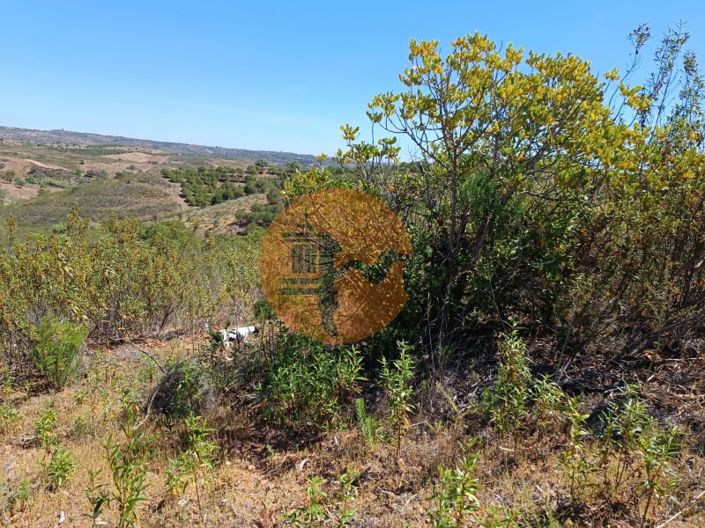 Image No.27-Plot for sale