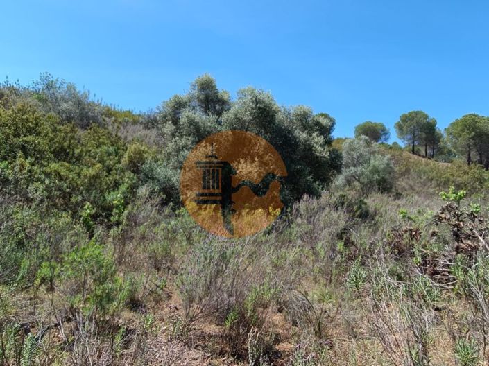 Image No.31-Plot for sale