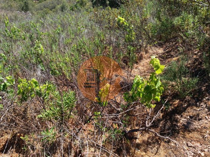 Image No.5-Plot for sale