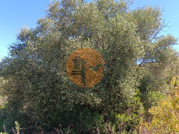 Image No.6-Plot for sale