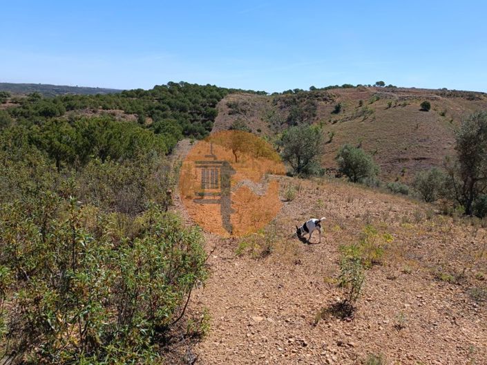 Image No.7-Plot for sale