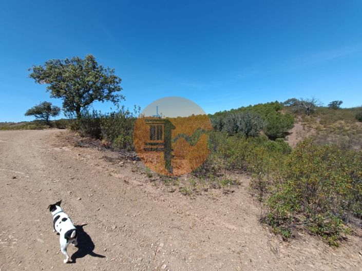 Image No.17-Plot for sale