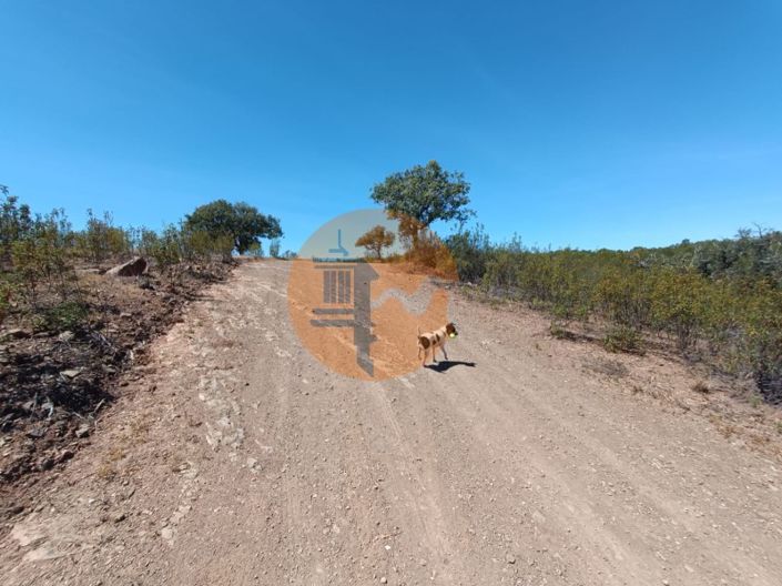 Image No.18-Plot for sale