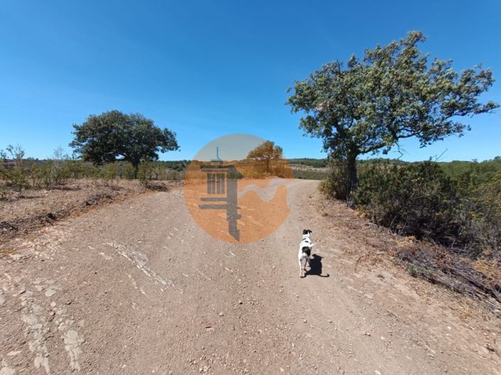 Image No.19-Plot for sale