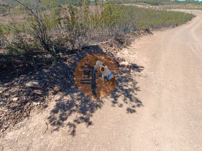 Image No.23-Plot for sale