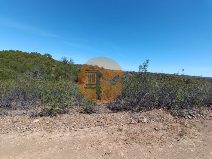 Image No.26-Plot for sale