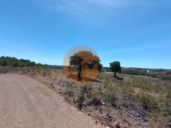 Image No.3-Plot for sale