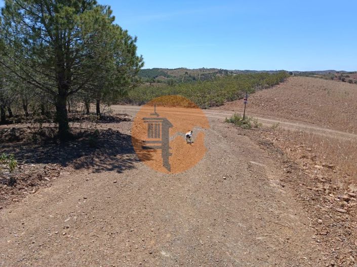 Image No.4-Plot for sale