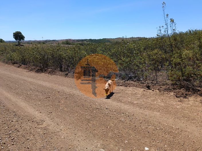 Image No.7-Plot for sale