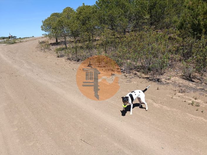 Image No.9-Plot for sale