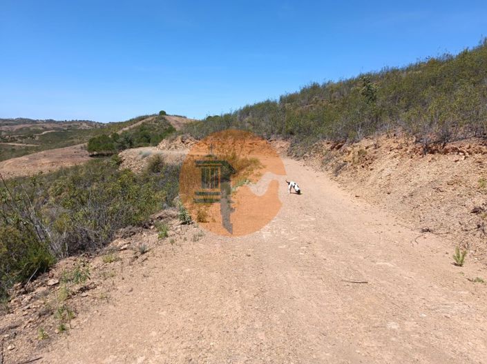 Image No.13-Plot for sale