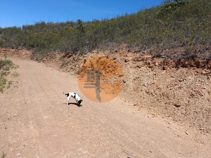 Image No.14-Plot for sale