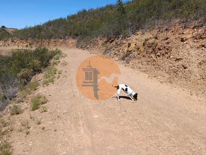 Image No.15-Plot for sale