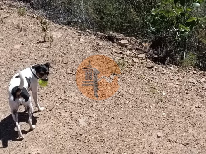 Image No.17-Plot for sale