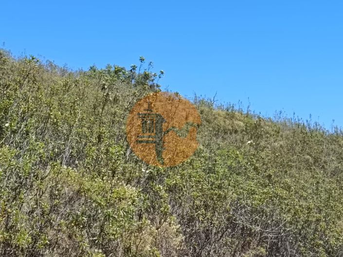 Image No.19-Plot for sale