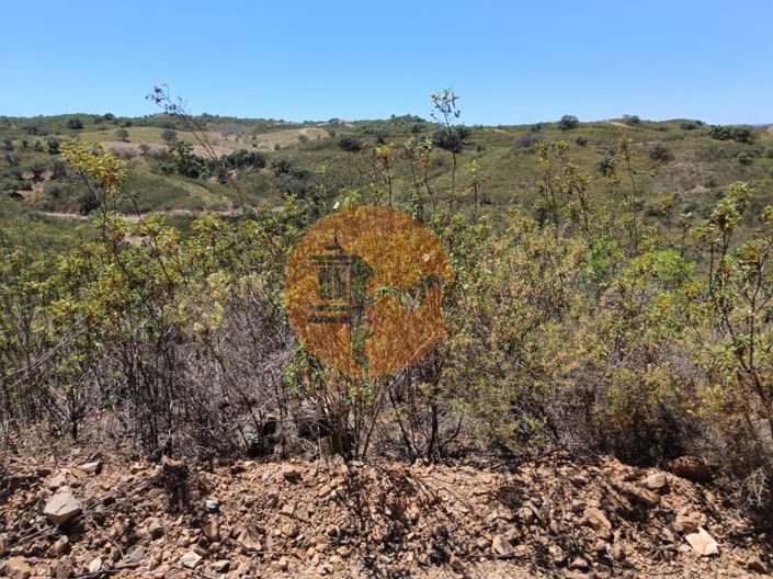 Image No.22-Plot for sale