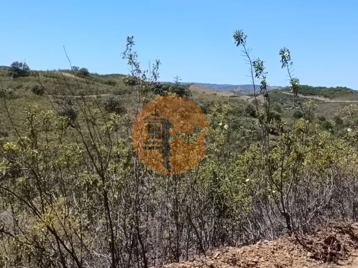 Image No.23-Plot for sale