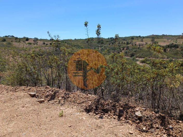 Image No.3-Plot for sale