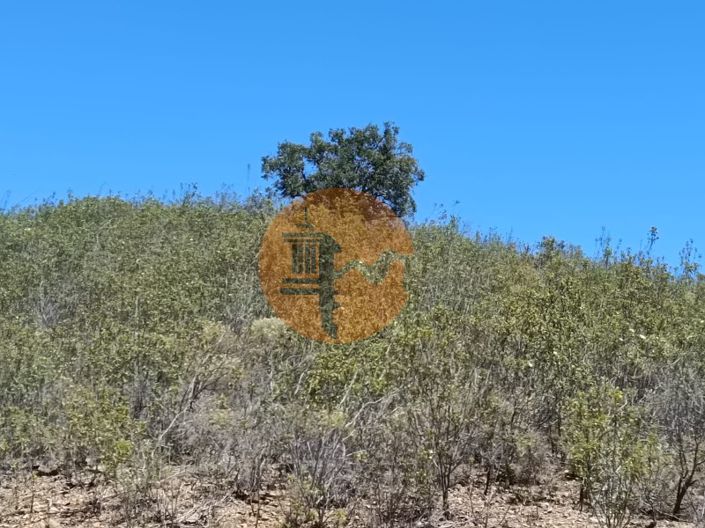 Image No.4-Plot for sale