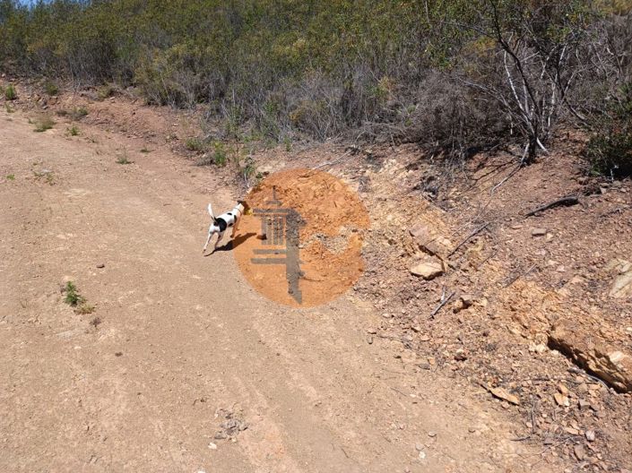 Image No.5-Plot for sale