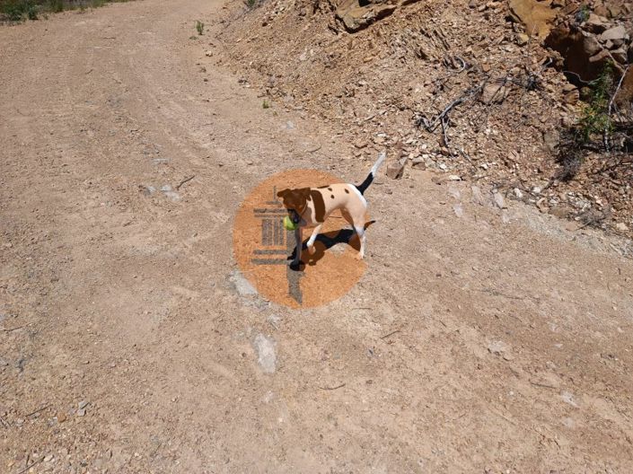 Image No.6-Plot for sale