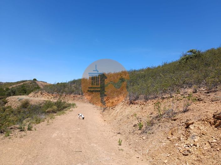 Image No.8-Plot for sale