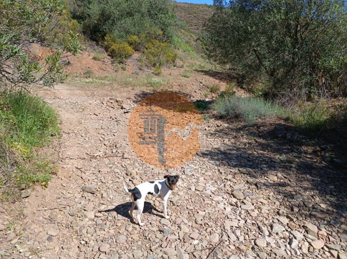 Image No.1-Plot for sale