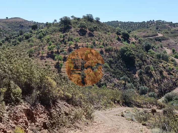 Image No.10-Plot for sale