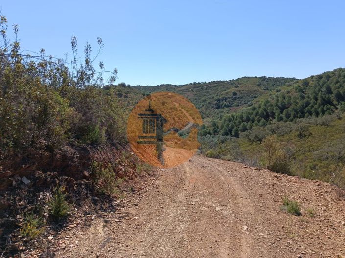 Image No.14-Plot for sale